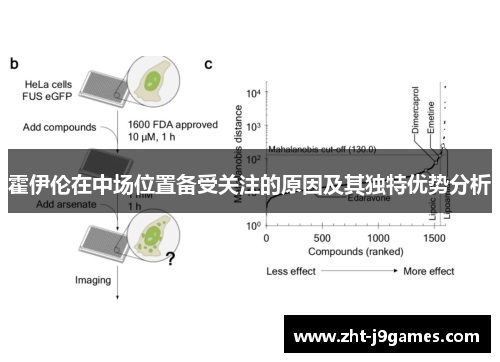 霍伊伦在中场位置备受关注的原因及其独特优势分析